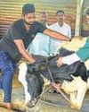 Multiples, others weigh exit from vet drugs firm Zenex Mint Mumbai
