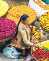 Revealing the secret vocabulary of a city Mint Mumbai