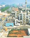 COROMANDEL INT'L: ON FERTILE GROUND Mint Mumbai