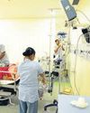 Prioritize organ transplant safety over numbers Mint Mumbai