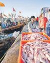India to build fleet for fishing in China-dominated deep seas Mint Mumbai