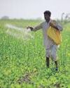Startups eye specialty fertilizers Mint Mumbai