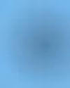Mint Mumbai