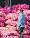 Govt dispatches onion trains to curb prices amid festive demand Mint Mumbai