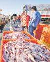 India's seafood wins US nod6