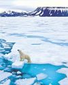 Inside the West's race to defend the Arctic29