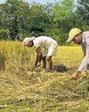 Rural jobs law 2.0: More days, states must chip in Rural jobs law 2.0: More days, states must chip in7