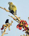 A year when Nature has fought for survival1