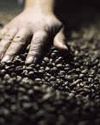 A fillip for agri, processed food exports31