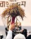 BNP sweeps polls in Bangladesh, set to return to power BNP sweeps polls in Bangladesh, set to return to power27