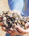 India to auction 19 key mineral blocks India to auction 19 key mineral blocks7