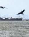Life and death aboard ships stranded near the Strait of Hormuz Life and death aboard ships stranded near the Strait of Hormuz30