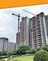 Mint Mumbai