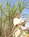 Mint Mumbai