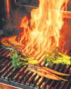 Open fires provide a hot take on dining Mint New Delhi