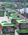 Mint New Delhi