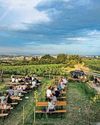 Vienna’s wine culture is organic and biodynamic6