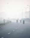 Mint New Delhi