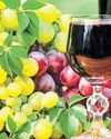 Rains sour Maharashtra’s grape harvest, hit wineries Rains sour Maharashtra’s grape harvest, hit wineries5