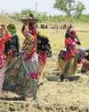 New job guarantee scheme aims to fix design gaps in MGNREGA: Report1