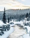 Chasing Northern Lights in chilly Yukon47