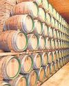 All Seasons reflects India's accelerating rise as a global whisky powerhouse14