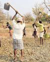 The budget lacks the coherence needed to address key problems41