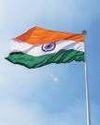 Mint New Delhi