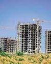 Mint New Delhi