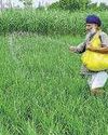Govt to decide inflation steps by 15 June Govt to decide inflation steps by 15 June5
