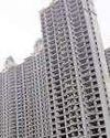 Mint New Delhi