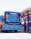 Mint New Delhi