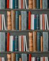 FROM THE EDITOR'S BOOKSHELF FROM THE EDITOR'S BOOKSHELF