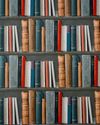 FROM THE EDITOR'S BOOKSHELF Storizen