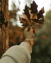 "Forgive Without Forgetting: Break the Trap" (Self-Reflection)4