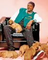 dogs & more
