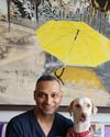 dogs & more