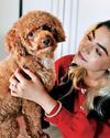 dogs & more