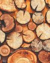 WOOD IMPORTS: VARIETY IS THE SPICE