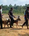 Kalakaumudi
