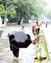 SAMBHAAV-METRO News