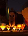 Dinosaur Derby at the Bill Harrop's Balloon field