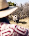 MANFREDI LEFEBVRE: ABERCROMBIE & KENT Y EL ARTE DE VIAJAR CON MUCHO ESTILO6
