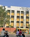 गिनी पिग बनते मरीज गिनी पिग बनते मरीज