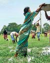 नरेगा का सूखा बरकरार4