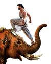 दक्षिण की धाक50