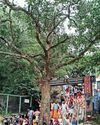 வாராரு வாராரு கருப்பரு வாராரு20