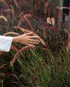 NATURE'S PATH TO healing NATURE'S PATH TO healing11
