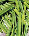 மாதவிடாய் பிரச்னையை சரி செய்யும் பிரண்டை!9