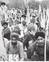 Untimely rain continues, farmers count their losses